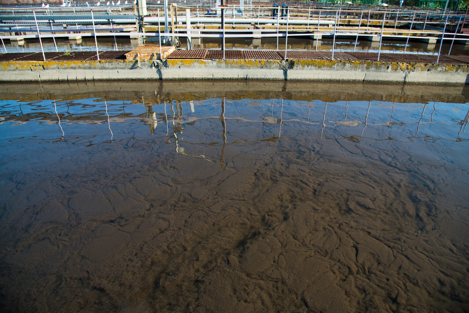 A tank containing purified water. Sludge settles at the bottom.